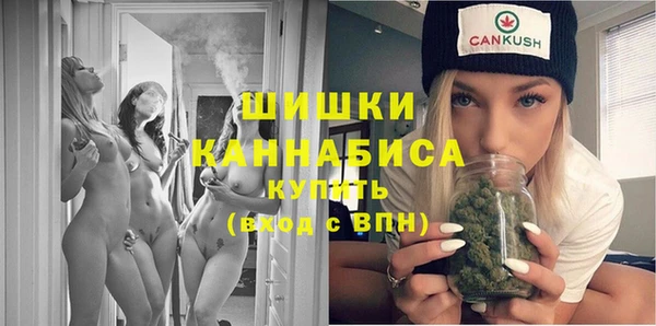 мдпв Козловка