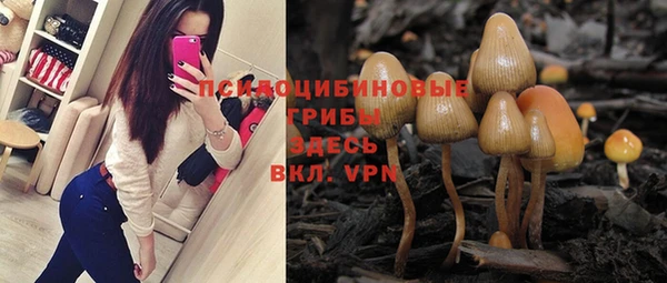 каннабис Абаза