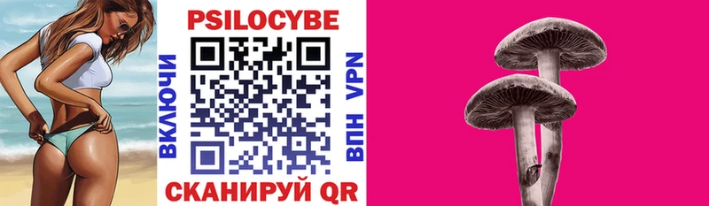 цены наркотик  hydra ONION  Псилоцибиновые грибы Psilocybine cubensis  Ахтырский 